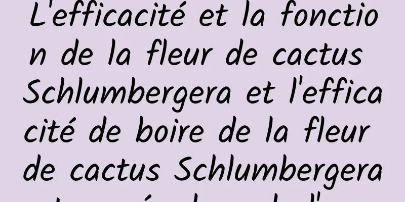 L'efficacité et la fonction de la fleur de cactus Schlumbergera et l'efficacité de boire de la fleur de cactus Schlumbergera trempée dans de l'eau