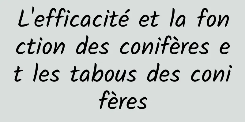 L'efficacité et la fonction des conifères et les tabous des conifères