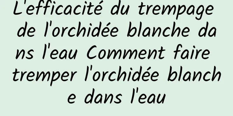 L'efficacité du trempage de l'orchidée blanche dans l'eau Comment faire tremper l'orchidée blanche dans l'eau