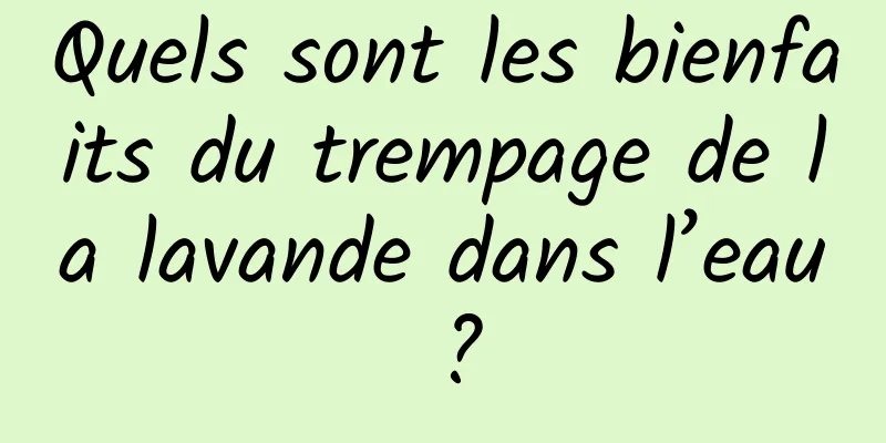 Quels sont les bienfaits du trempage de la lavande dans l’eau ?