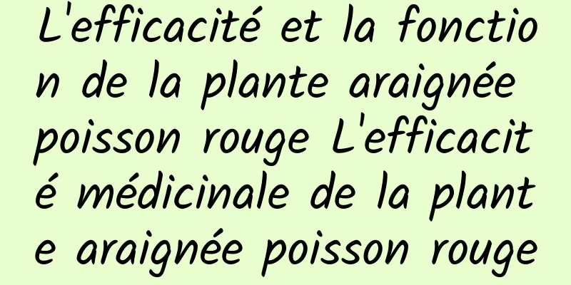 L'efficacité et la fonction de la plante araignée poisson rouge L'efficacité médicinale de la plante araignée poisson rouge