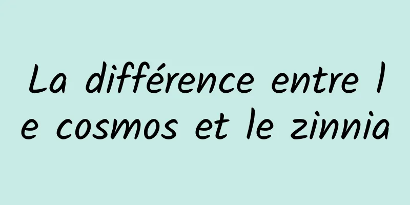 La différence entre le cosmos et le zinnia