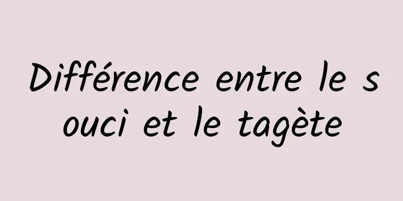 Différence entre le souci et le tagète