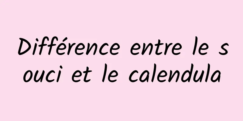 Différence entre le souci et le calendula