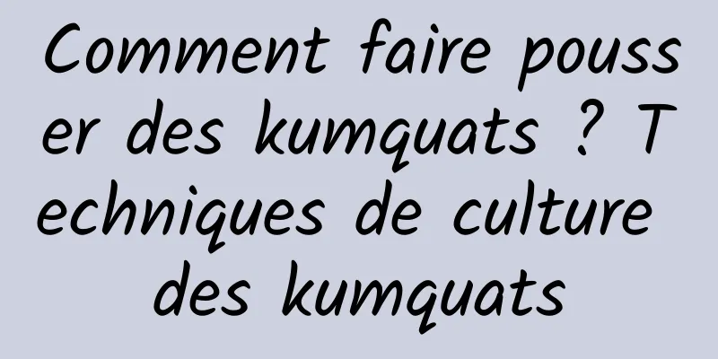 Comment faire pousser des kumquats ? Techniques de culture des kumquats