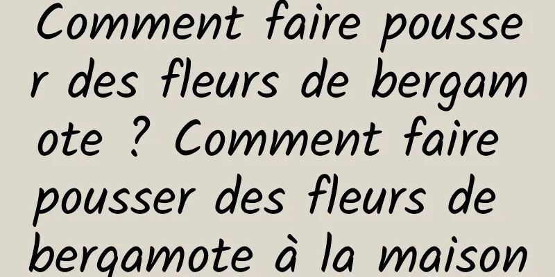 Comment faire pousser des fleurs de bergamote ? Comment faire pousser des fleurs de bergamote à la maison