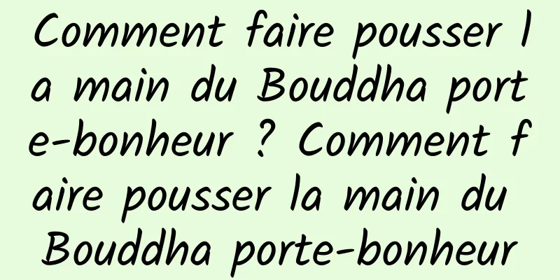 Comment faire pousser la main du Bouddha porte-bonheur ? Comment faire pousser la main du Bouddha porte-bonheur