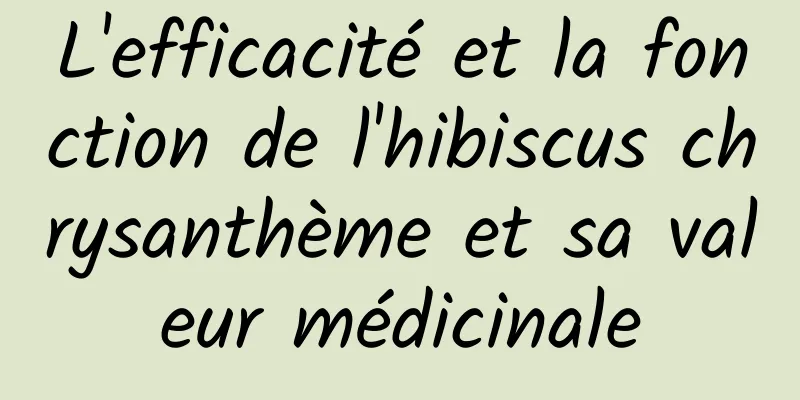 L'efficacité et la fonction de l'hibiscus chrysanthème et sa valeur médicinale