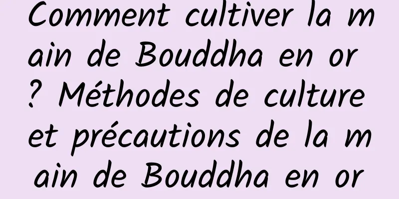 Comment cultiver la main de Bouddha en or ? Méthodes de culture et précautions de la main de Bouddha en or