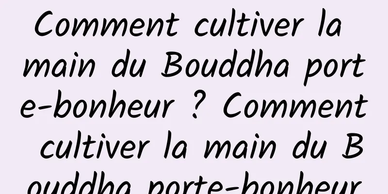 Comment cultiver la main du Bouddha porte-bonheur ? Comment cultiver la main du Bouddha porte-bonheur