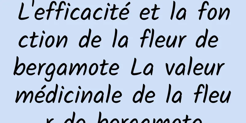 L'efficacité et la fonction de la fleur de bergamote La valeur médicinale de la fleur de bergamote