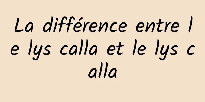 La différence entre le lys calla et le lys calla