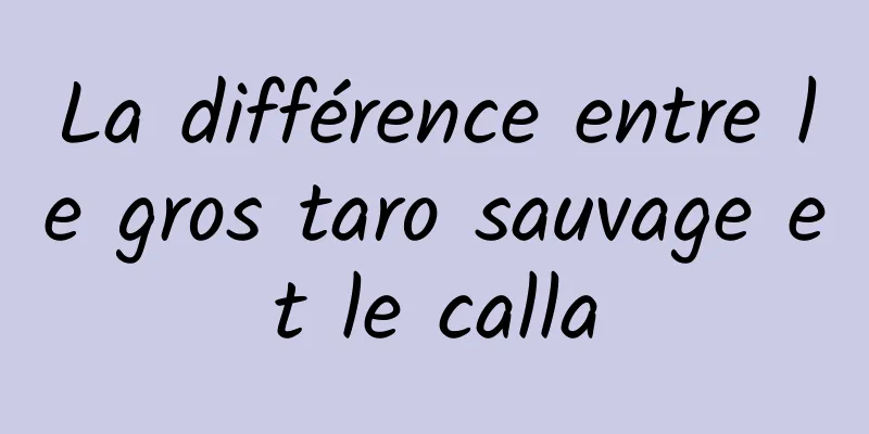 La différence entre le gros taro sauvage et le calla