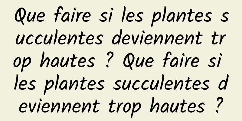 Que faire si les plantes succulentes deviennent trop hautes ? Que faire si les plantes succulentes deviennent trop hautes ?