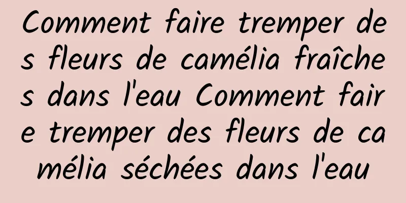 Comment faire tremper des fleurs de camélia fraîches dans l'eau Comment faire tremper des fleurs de camélia séchées dans l'eau