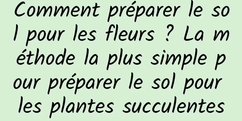 Comment préparer le sol pour les fleurs ? La méthode la plus simple pour préparer le sol pour les plantes succulentes