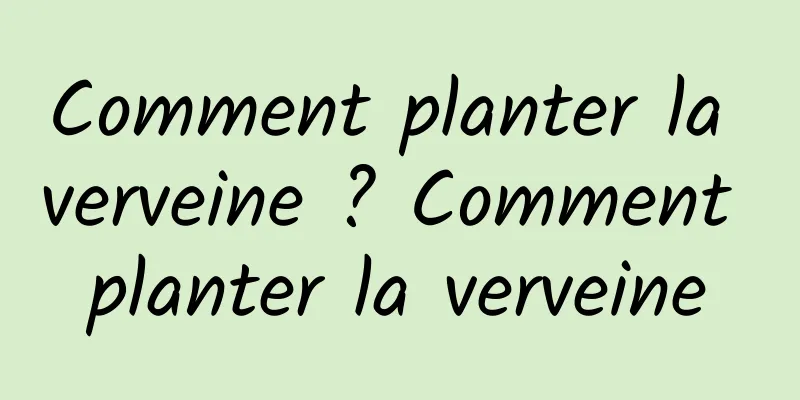 Comment planter la verveine ? Comment planter la verveine