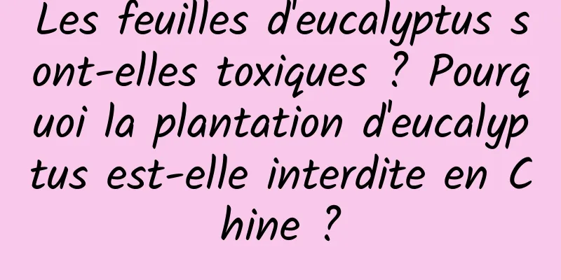 Les feuilles d'eucalyptus sont-elles toxiques ? Pourquoi la plantation d'eucalyptus est-elle interdite en Chine ?