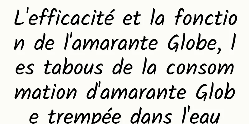 L'efficacité et la fonction de l'amarante Globe, les tabous de la consommation d'amarante Globe trempée dans l'eau