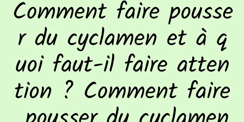 Comment faire pousser du cyclamen et à quoi faut-il faire attention ? Comment faire pousser du cyclamen