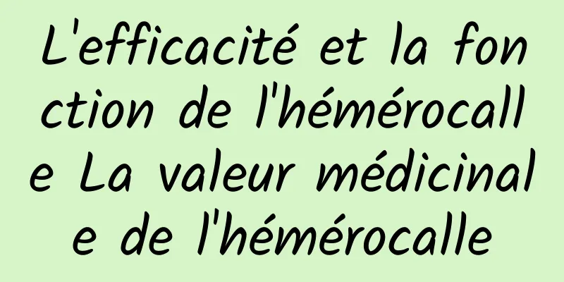 L'efficacité et la fonction de l'hémérocalle La valeur médicinale de l'hémérocalle