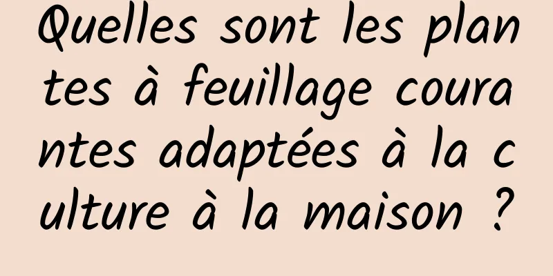 Quelles sont les plantes à feuillage courantes adaptées à la culture à la maison ?