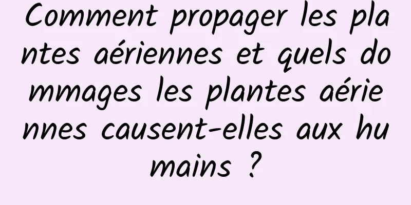 Comment propager les plantes aériennes et quels dommages les plantes aériennes causent-elles aux humains ?