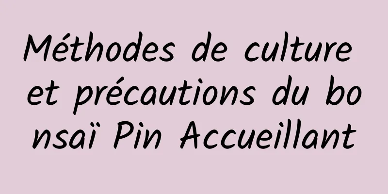 Méthodes de culture et précautions du bonsaï Pin Accueillant