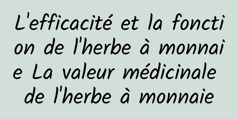 L'efficacité et la fonction de l'herbe à monnaie La valeur médicinale de l'herbe à monnaie