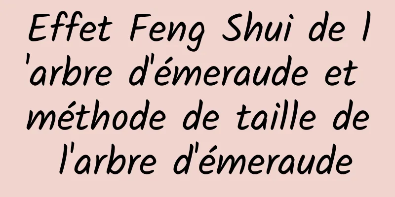 Effet Feng Shui de l'arbre d'émeraude et méthode de taille de l'arbre d'émeraude