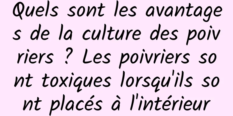 Quels sont les avantages de la culture des poivriers ? Les poivriers sont toxiques lorsqu'ils sont placés à l'intérieur