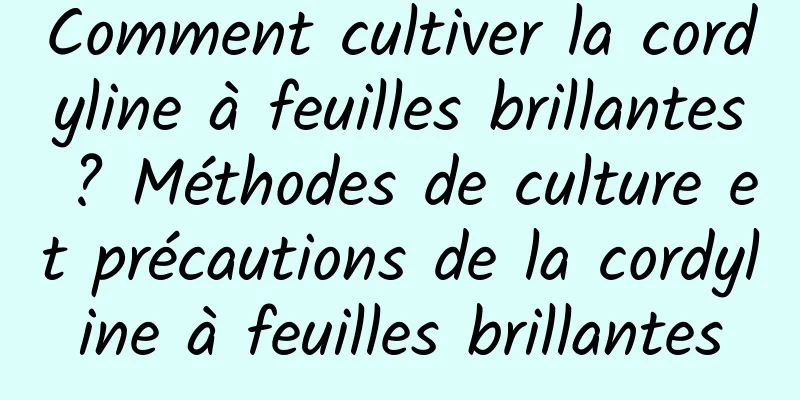 Comment cultiver la cordyline à feuilles brillantes ? Méthodes de culture et précautions de la cordyline à feuilles brillantes