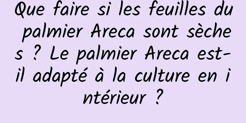 Que faire si les feuilles du palmier Areca sont sèches ? Le palmier Areca est-il adapté à la culture en intérieur ?