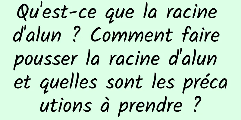 Qu'est-ce que la racine d'alun ? Comment faire pousser la racine d'alun et quelles sont les précautions à prendre ?