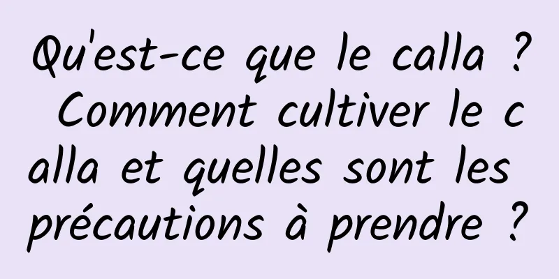 Qu'est-ce que le calla ? Comment cultiver le calla et quelles sont les précautions à prendre ?