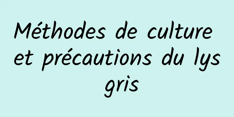 Méthodes de culture et précautions du lys gris