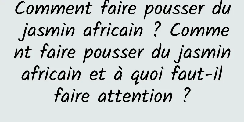 Comment faire pousser du jasmin africain ? Comment faire pousser du jasmin africain et à quoi faut-il faire attention ?