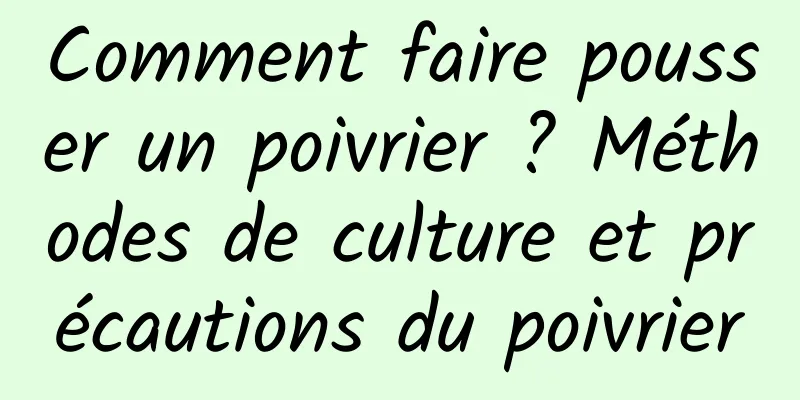 Comment faire pousser un poivrier ? Méthodes de culture et précautions du poivrier