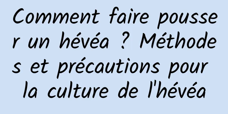 Comment faire pousser un hévéa ? Méthodes et précautions pour la culture de l'hévéa