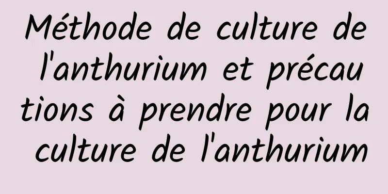 Méthode de culture de l'anthurium et précautions à prendre pour la culture de l'anthurium