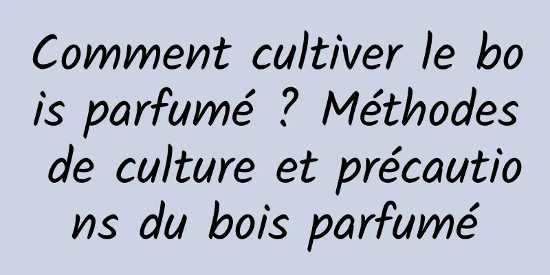 Comment cultiver le bois parfumé ? Méthodes de culture et précautions du bois parfumé