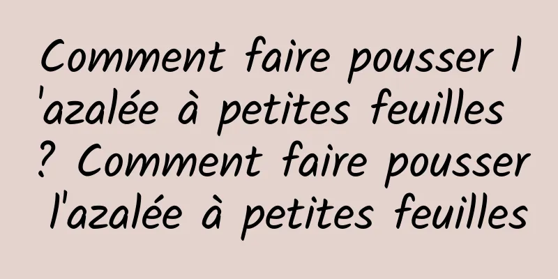 Comment faire pousser l'azalée à petites feuilles ? Comment faire pousser l'azalée à petites feuilles