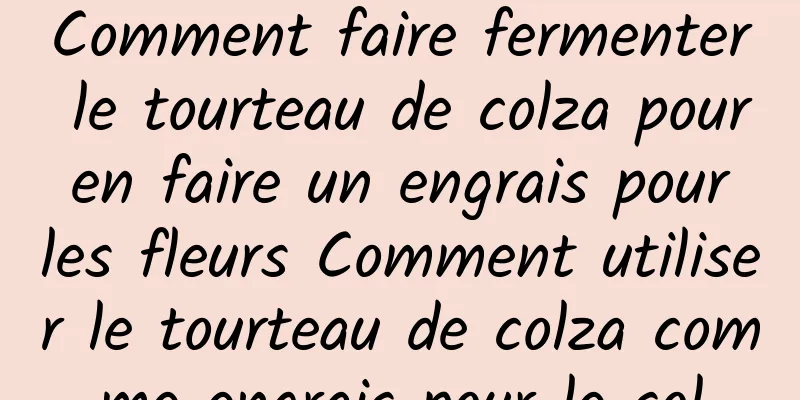 Comment faire fermenter le tourteau de colza pour en faire un engrais pour les fleurs Comment utiliser le tourteau de colza comme engrais pour le sol