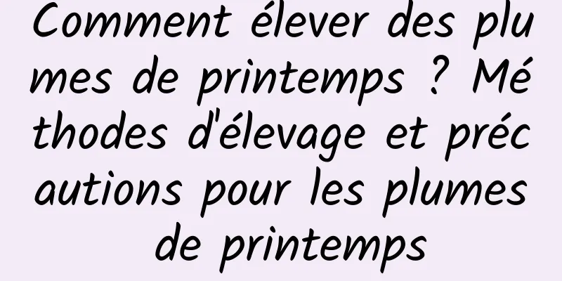 Comment élever des plumes de printemps ? Méthodes d'élevage et précautions pour les plumes de printemps