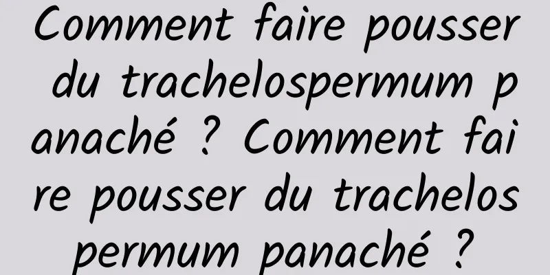 Comment faire pousser du trachelospermum panaché ? Comment faire pousser du trachelospermum panaché ?