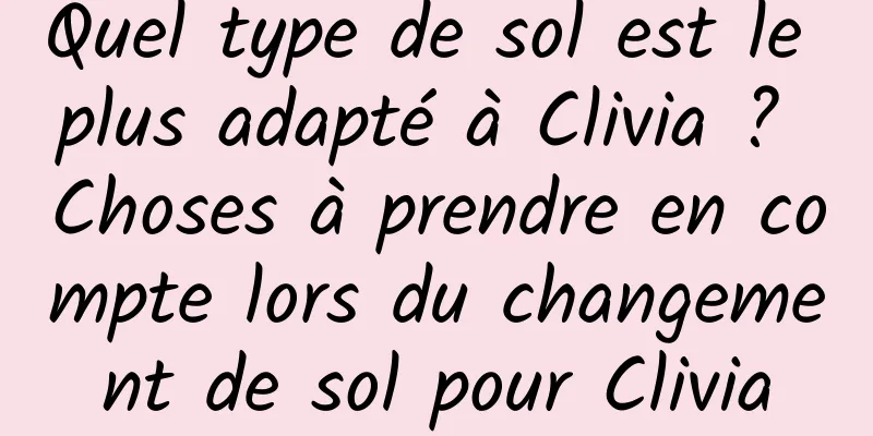 Quel type de sol est le plus adapté à Clivia ? Choses à prendre en compte lors du changement de sol pour Clivia