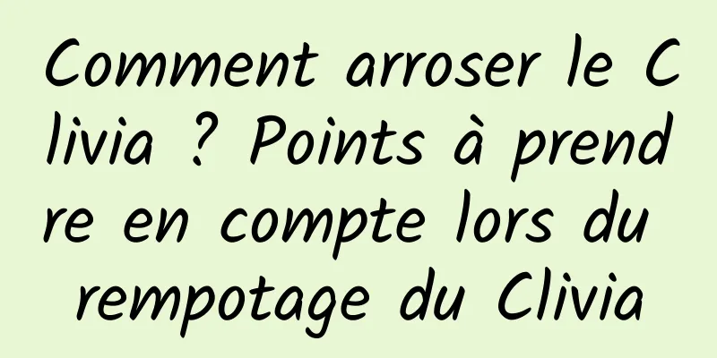 Comment arroser le Clivia ? Points à prendre en compte lors du rempotage du Clivia