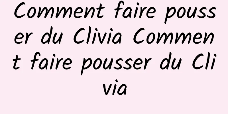 Comment faire pousser du Clivia Comment faire pousser du Clivia