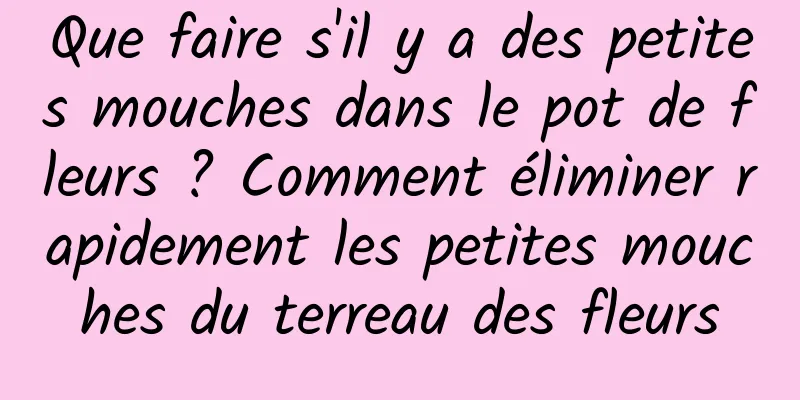 Que faire s'il y a des petites mouches dans le pot de fleurs ? Comment éliminer rapidement les petites mouches du terreau des fleurs