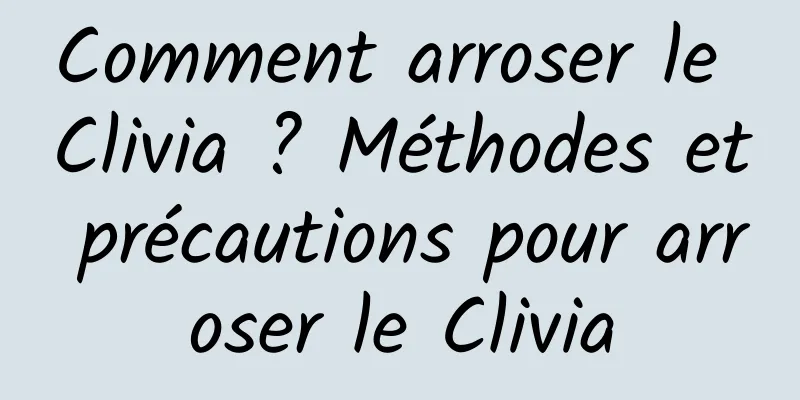 Comment arroser le Clivia ? Méthodes et précautions pour arroser le Clivia